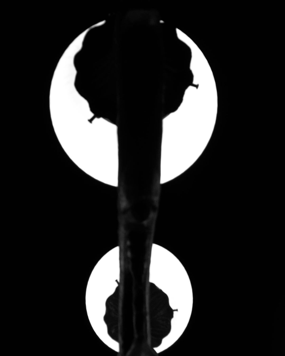 Heasn Mohamadi Gallerys