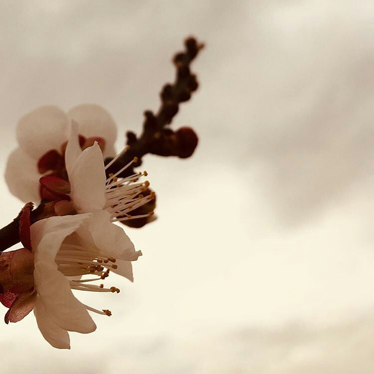 Heasn Mohamadi Gallerys