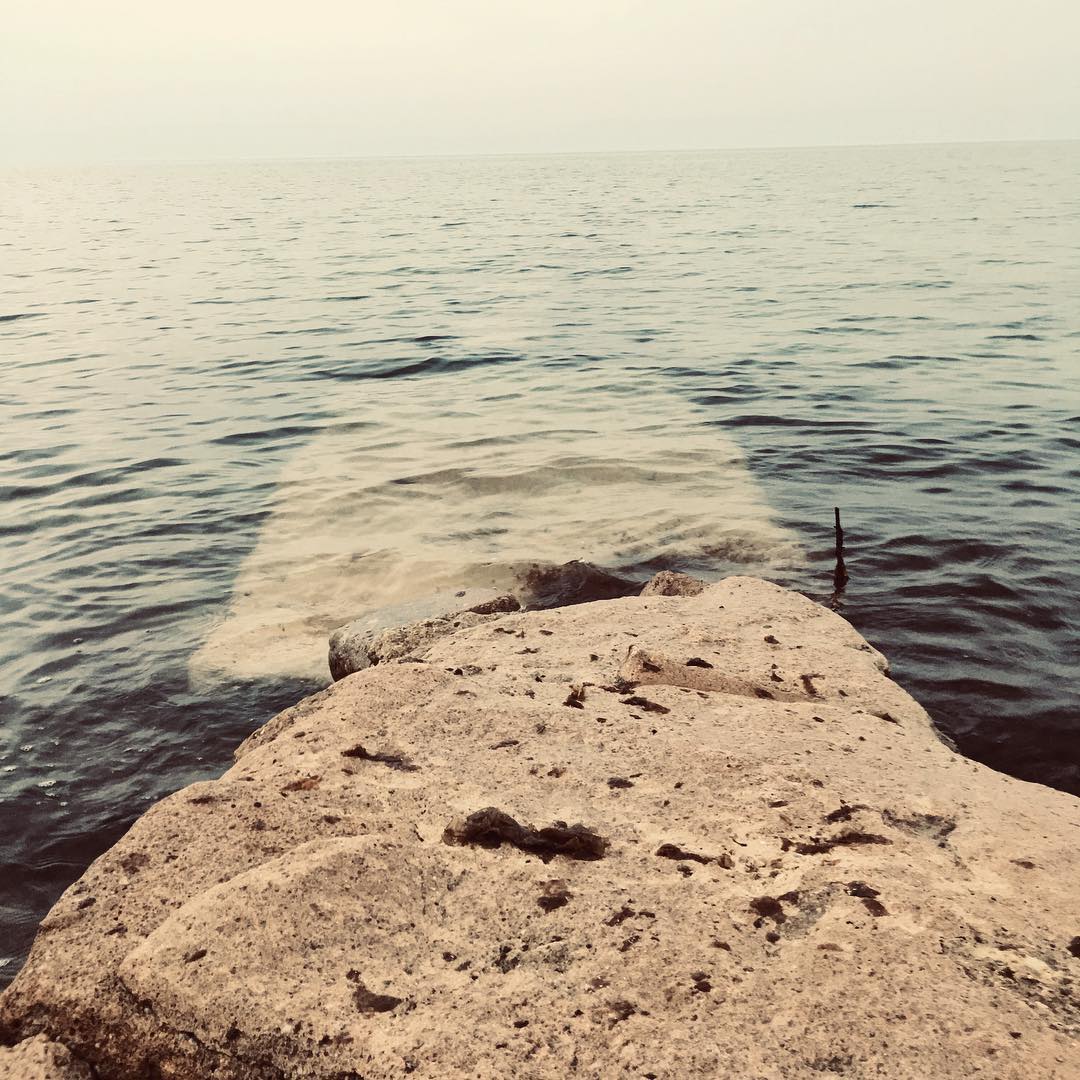 Heasn Mohamadi Gallerys